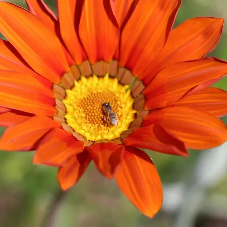 לינה וארוחת בוקר Bessy 10 אנטיב