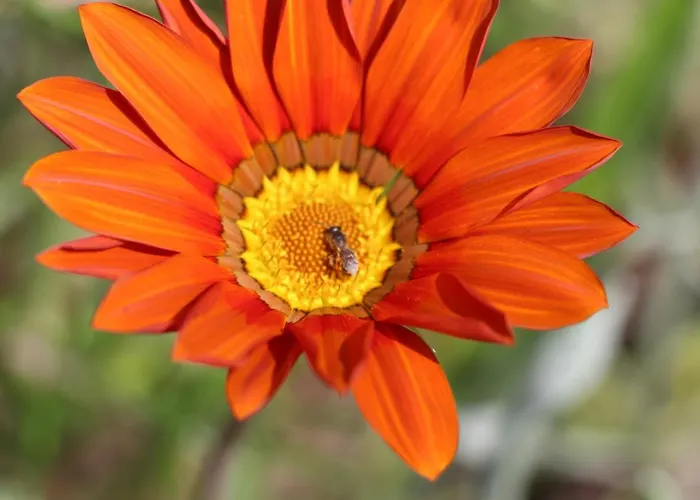 לינה וארוחת בוקר Bessy 10 אנטיב